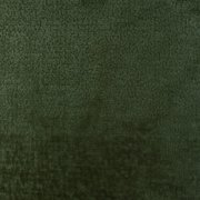 Ted