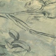 Tempesta