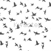  birds-